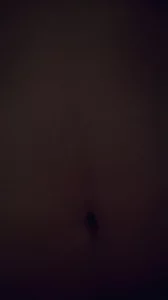 和E罩杯女粉丝的约会